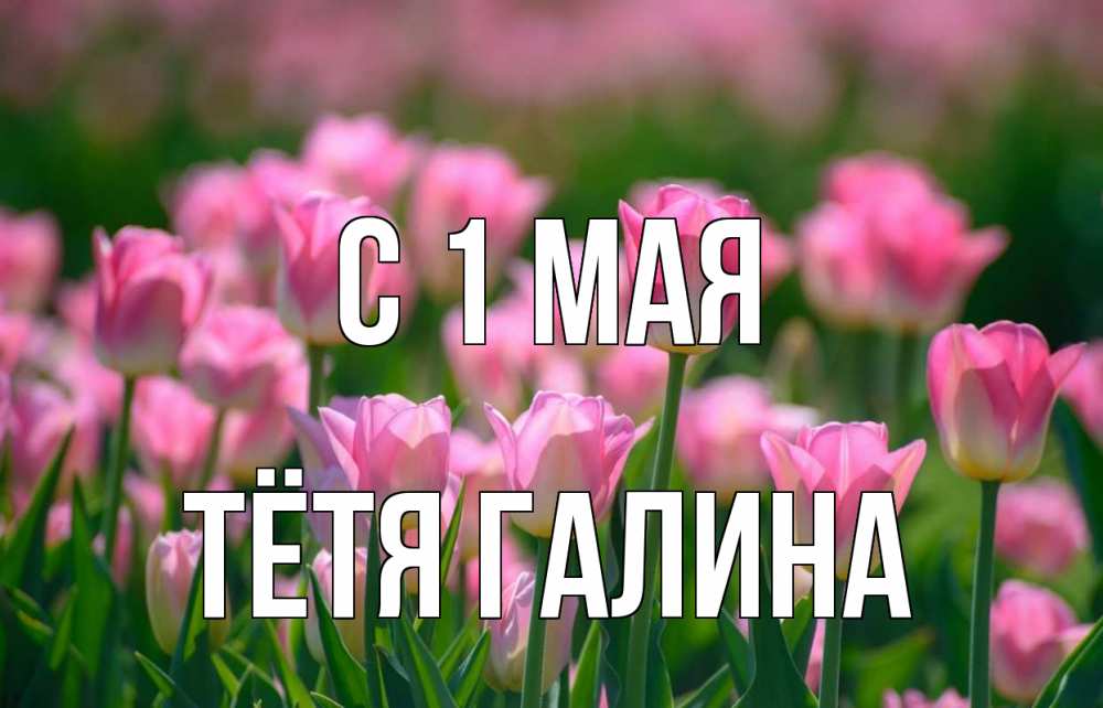 Открытка на каждый день с именем, Тётя-Галина С 1 мая С 1 мая Прикольная открытка с пожеланием онлайн скачать бесплатно 