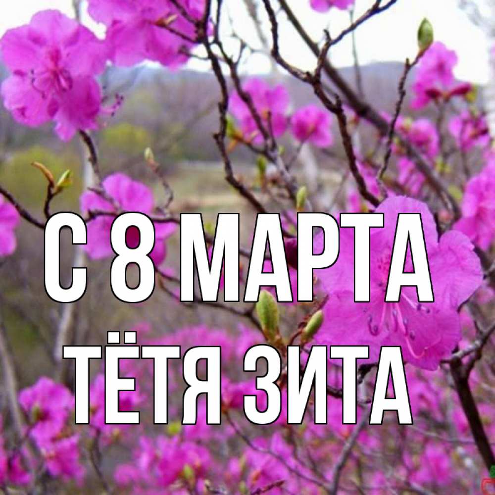 Открытка на каждый день с именем, Тётя-Зита С 8 МАРТА международный женский день Прикольная открытка с пожеланием онлайн скачать бесплатно 