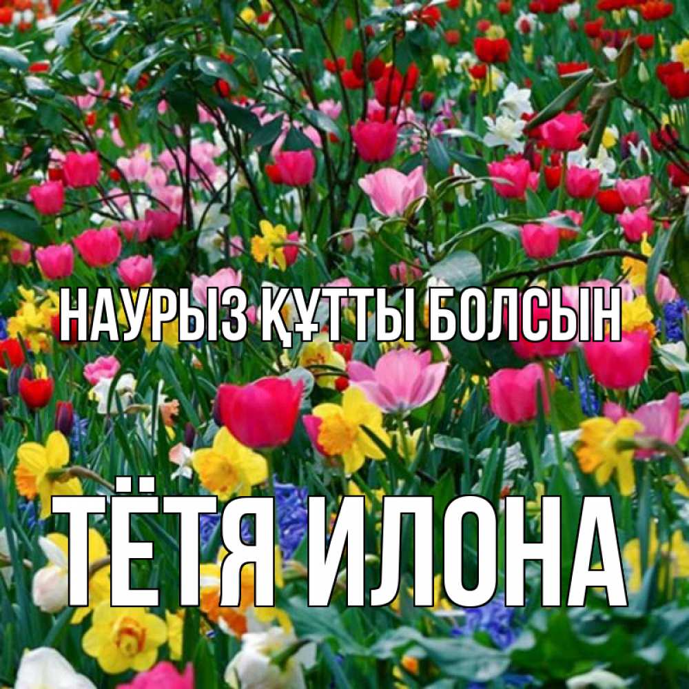 Открытка на каждый день с именем, Тётя-Илона Наурыз құтты болсын с наурызом поздравления для женщины Прикольная открытка с пожеланием онлайн скачать бесплатно 