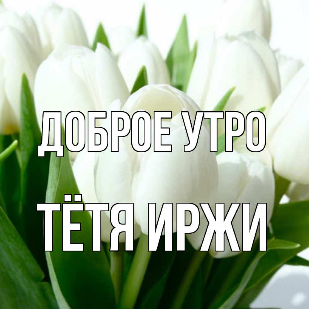 Открытка на каждый день с именем, Тётя-Иржи Доброе утро открытки на каждый день по именам Прикольная открытка с пожеланием онлайн скачать бесплатно 