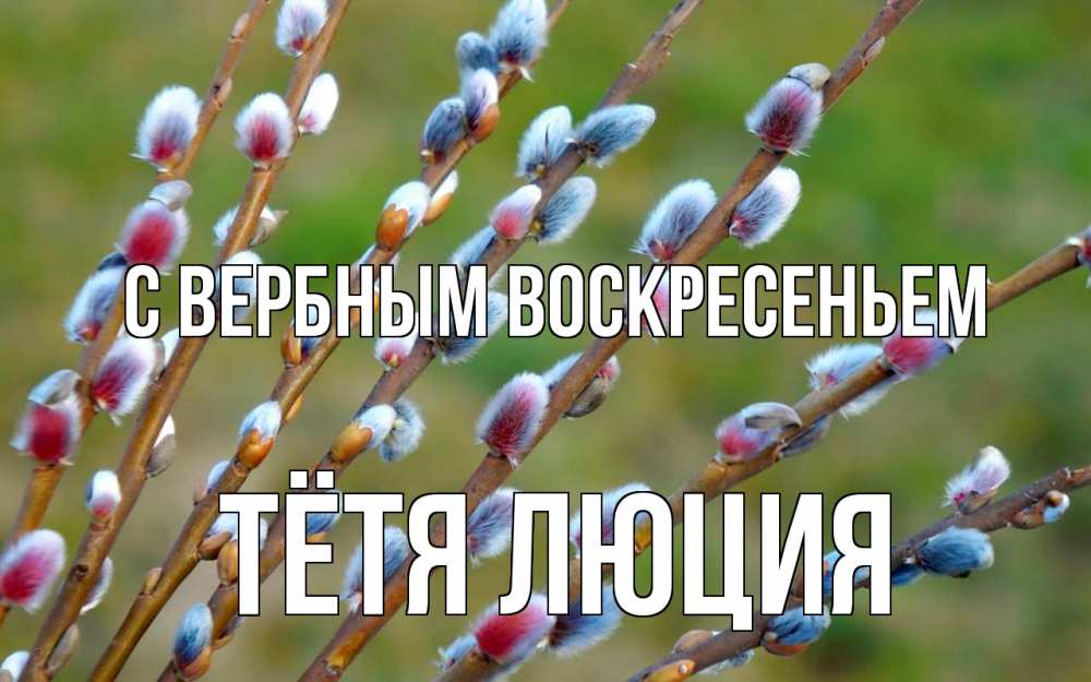 Открытка на каждый день с именем, Тётя-Люция С вербным воскресеньем верба Прикольная открытка с пожеланием онлайн скачать бесплатно 
