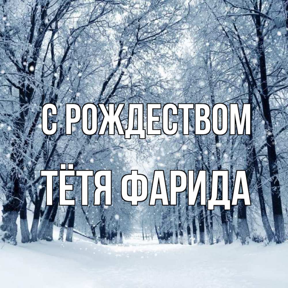 Открытка на каждый день с именем, Тётя-Фарида С рождеством снег, лес, парк Прикольная открытка с пожеланием онлайн скачать бесплатно 
