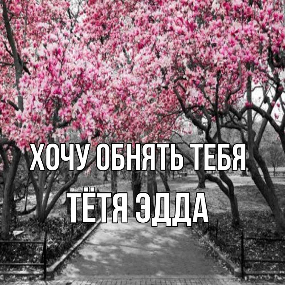 Открытка на каждый день с именем, Тётя-Эдда Хочу обнять тебя обработанное фото Прикольная открытка с пожеланием онлайн скачать бесплатно 