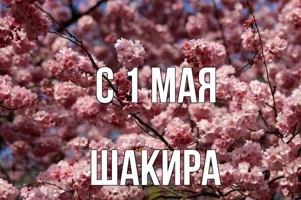 Открытка на каждый день с именем, Шакира С 1 мая С 1 мая Прикольная открытка с пожеланием онлайн скачать бесплатно 