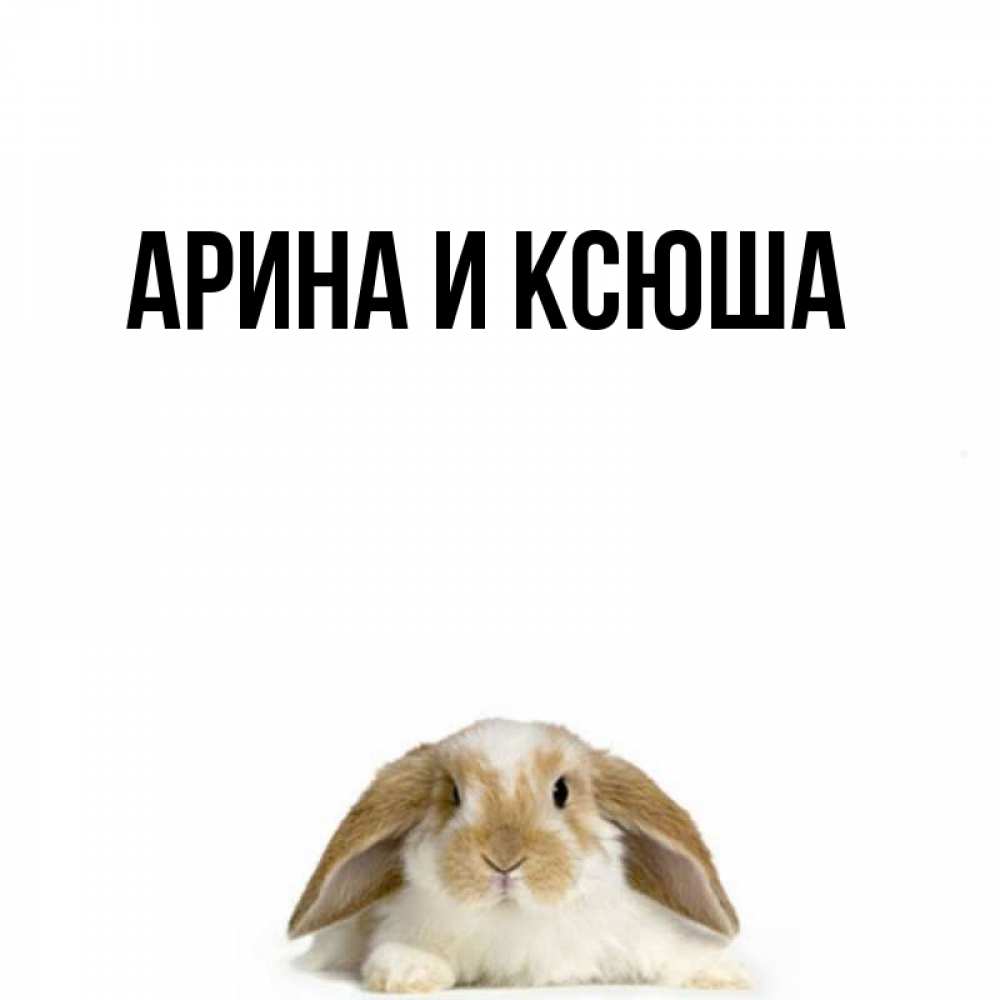 Открытка на каждый день с именем, Арина-и-Ксюша Главная коричнево белый заяц с большими ушками Прикольная открытка с пожеланием онлайн скачать бесплатно 