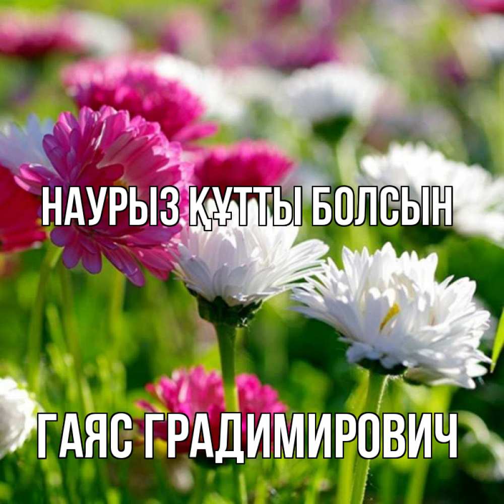 Картинка Наурыз құтты болсын, Гаяс Градимирович