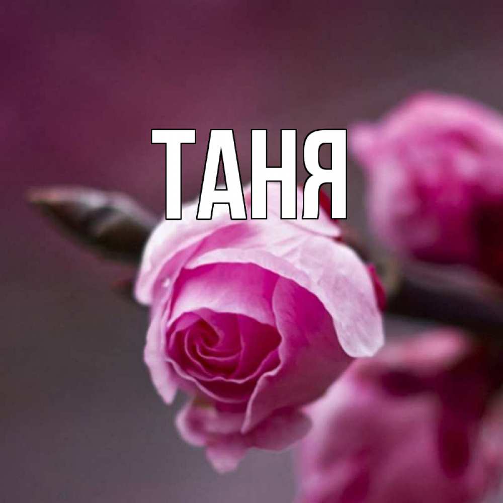 Картинки с именем танюша, друга день