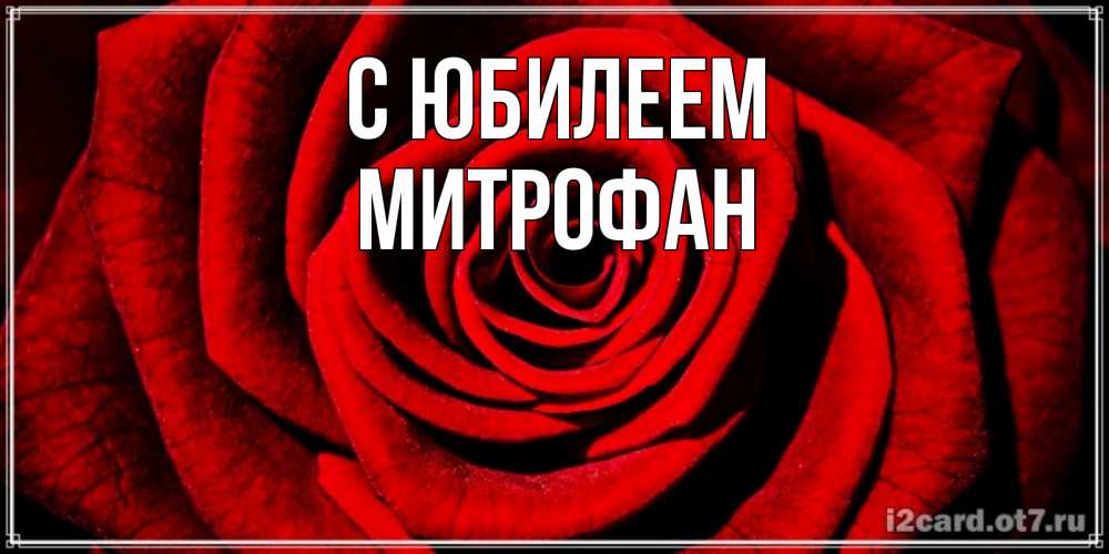 Открытка на каждый день с именем, Митрофан С юбилеем алая роза Прикольная открытка с пожеланием онлайн скачать бесплатно 