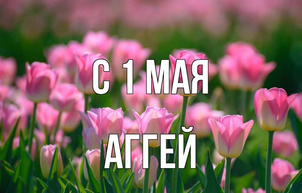 Открытка на каждый день с именем, Аггей С 1 мая С 1 мая Прикольная открытка с пожеланием онлайн скачать бесплатно 
