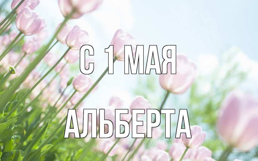 Открытка на каждый день с именем, Альберта С 1 мая С 1 мая Прикольная открытка с пожеланием онлайн скачать бесплатно 