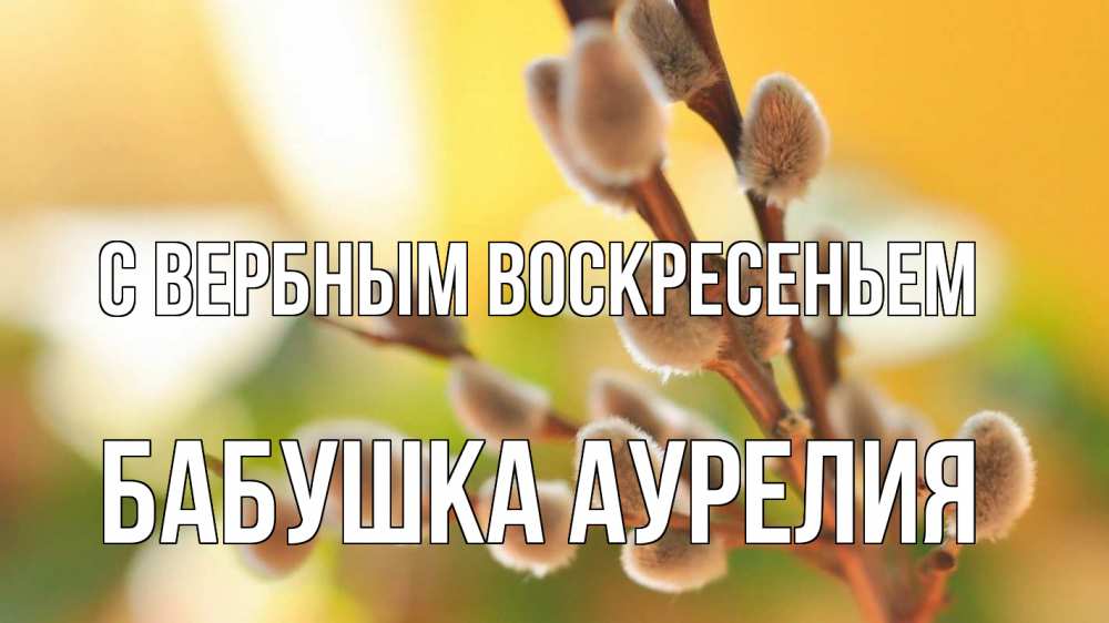 Открытка на каждый день с именем, Бабушка-Аурелия С вербным воскресеньем верба 1 Прикольная открытка с пожеланием онлайн скачать бесплатно 