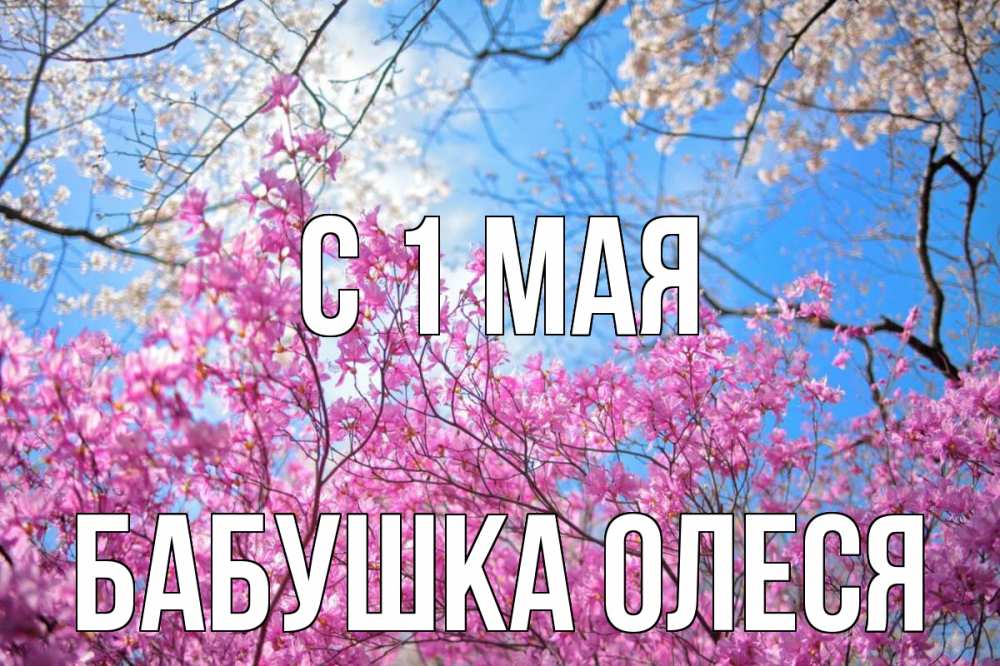 Открытка на каждый день с именем, Бабушка-Олеся С 1 мая С 1 мая Прикольная открытка с пожеланием онлайн скачать бесплатно 