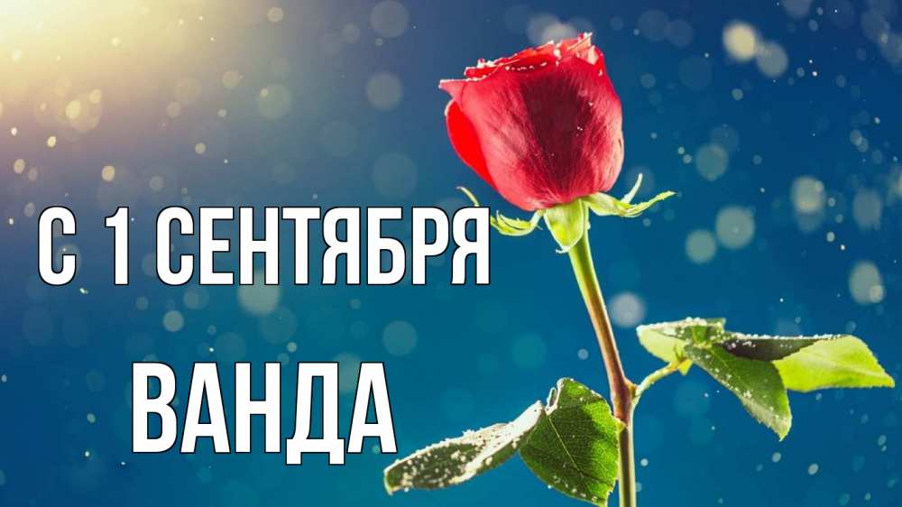 Открытка на каждый день с именем, Ванда С 1 сентября с днем знаний Прикольная открытка с пожеланием онлайн скачать бесплатно 