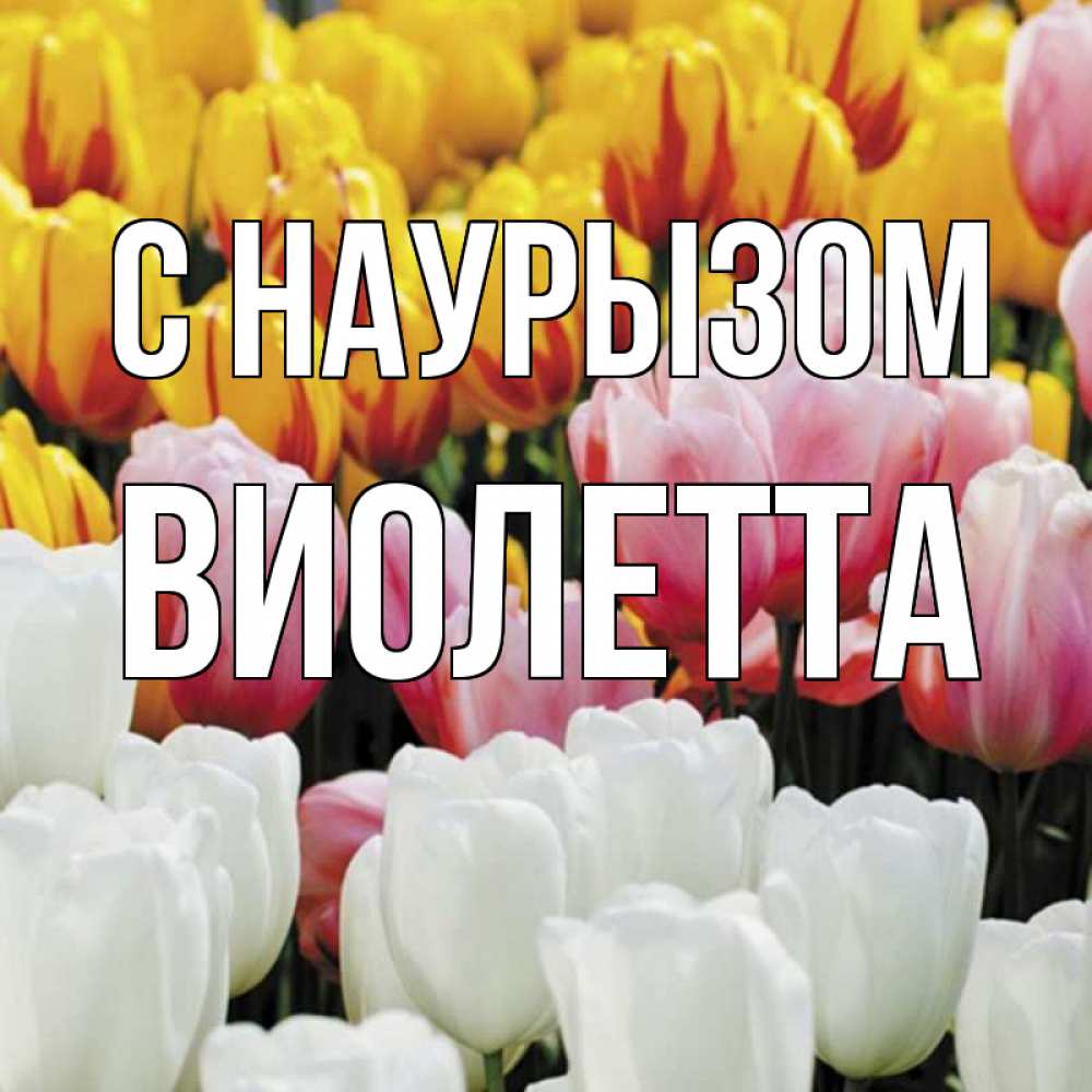 Открытка на каждый день с именем, Виолетта С наурызом разноцветные цветы Прикольная открытка с пожеланием онлайн скачать бесплатно 