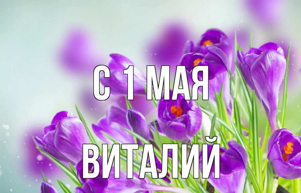 Открытка на каждый день с именем, Виталий С 1 мая 1 мая Прикольная открытка с пожеланием онлайн скачать бесплатно 