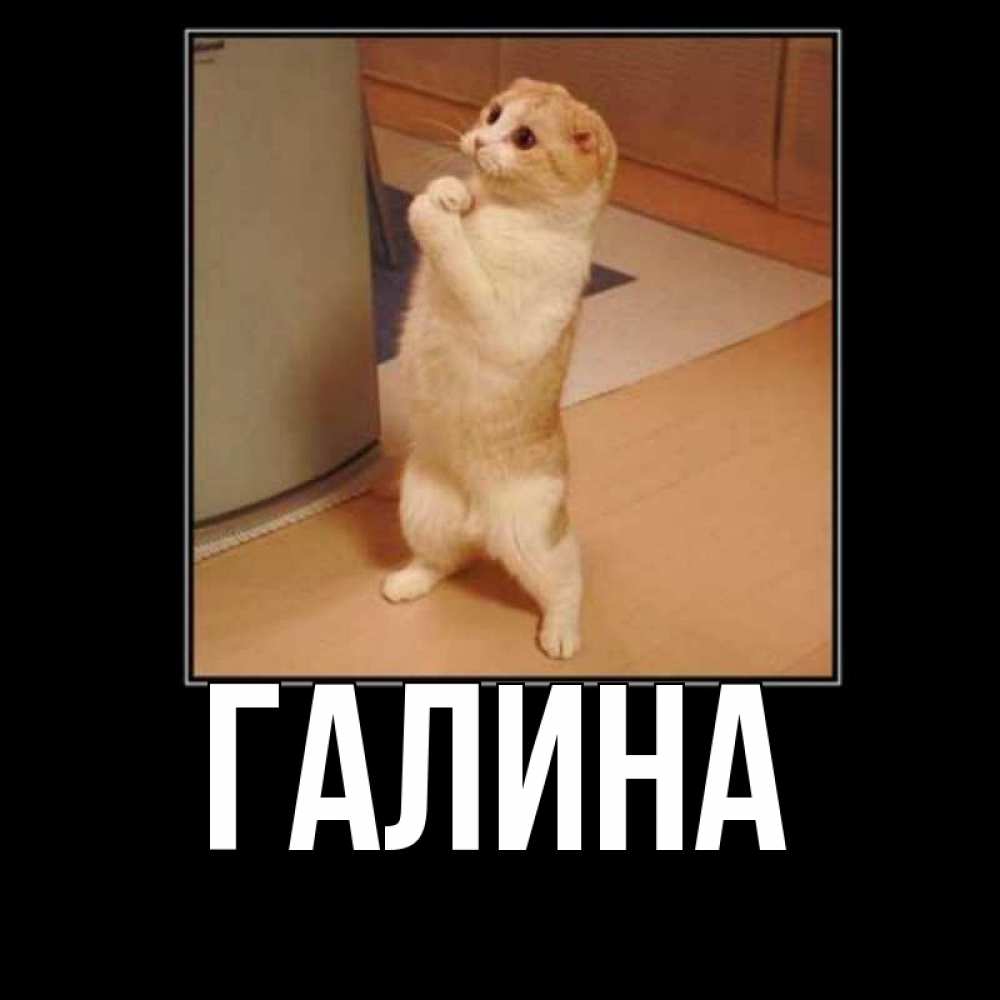 Картинка  с именем , Галина