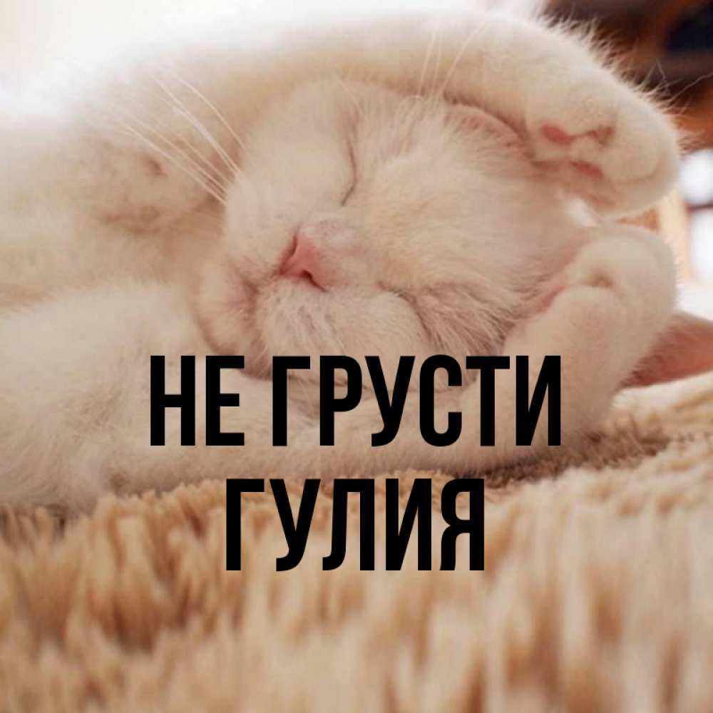 Открытка на каждый день с именем, Гулия Не грусти Котенок спит Прикольная открытка с пожеланием онлайн скачать бесплатно 