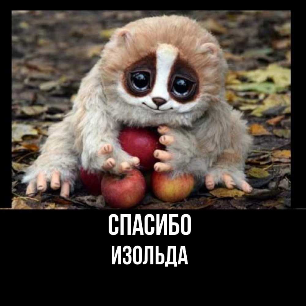 Открытка на каждый день с именем, Изольда Спасибо прикольное животное Прикольная открытка с пожеланием онлайн скачать бесплатно 