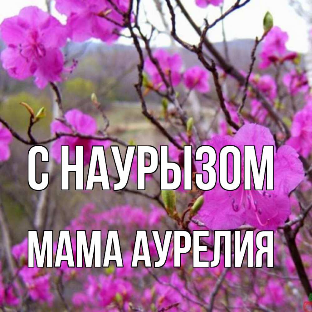 Открытка на каждый день с именем, Мама-Аурелия С наурызом праздник весны наурыз Прикольная открытка с пожеланием онлайн скачать бесплатно 