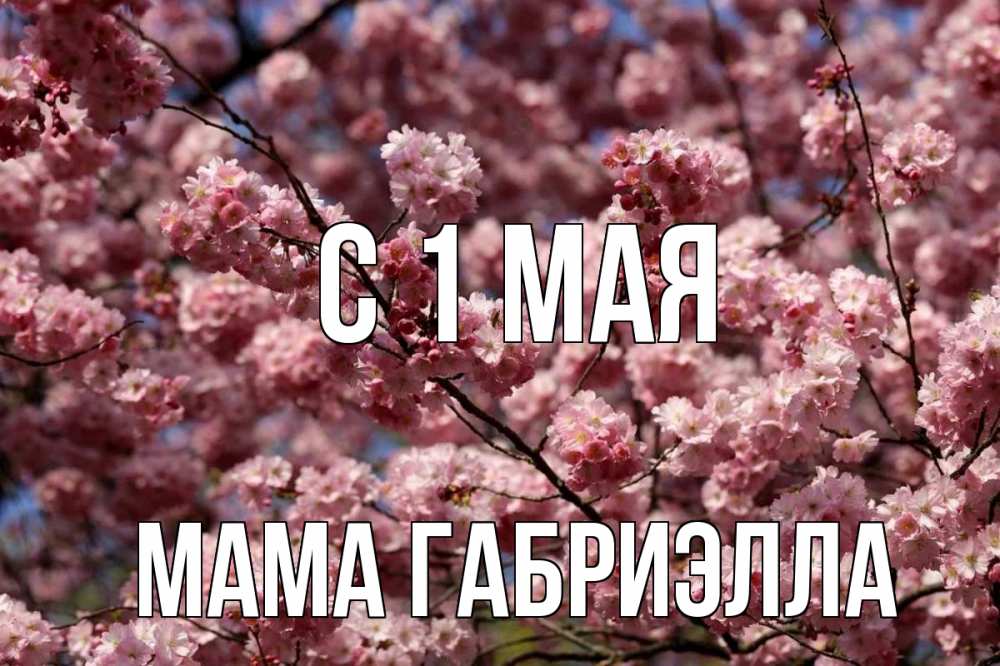 Открытка на каждый день с именем, Мама-Габриэлла С 1 мая С 1 мая Прикольная открытка с пожеланием онлайн скачать бесплатно 