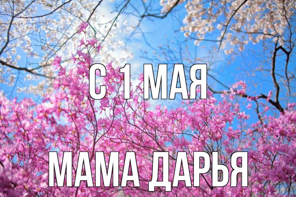 Открытка на каждый день с именем, Мама-Дарья С 1 мая С 1 мая Прикольная открытка с пожеланием онлайн скачать бесплатно 
