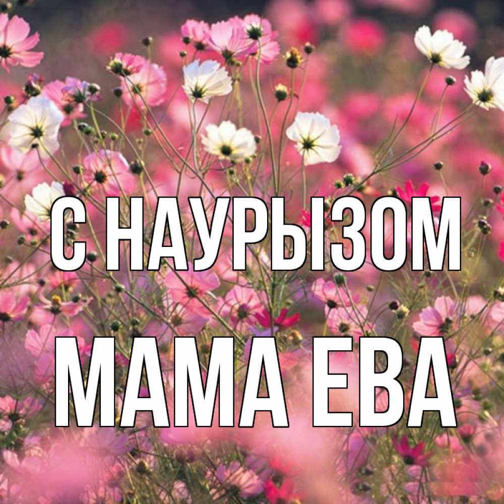 Открытка на каждый день с именем, Мама-Ева С наурызом красиво 1 Прикольная открытка с пожеланием онлайн скачать бесплатно 