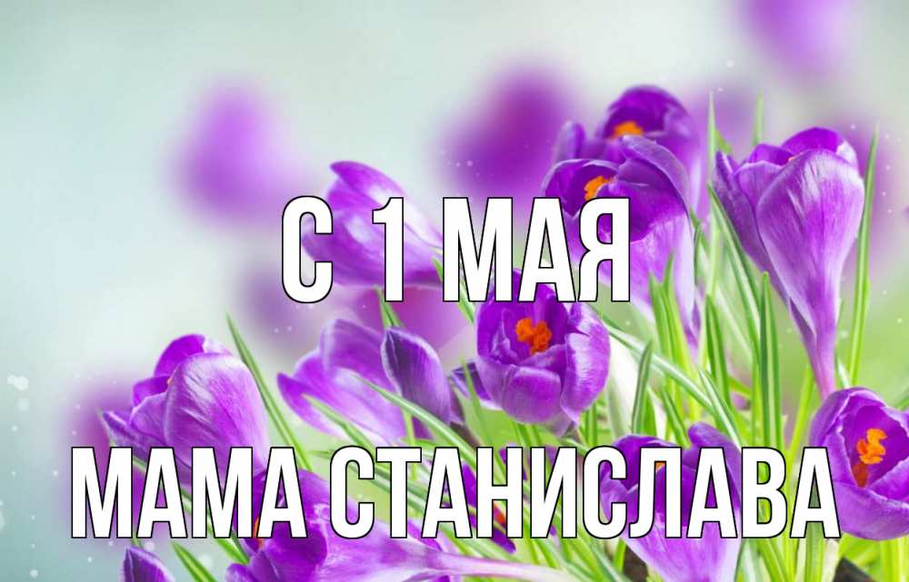 Открытка на каждый день с именем, Мама-Станислава С 1 мая 1 мая Прикольная открытка с пожеланием онлайн скачать бесплатно 