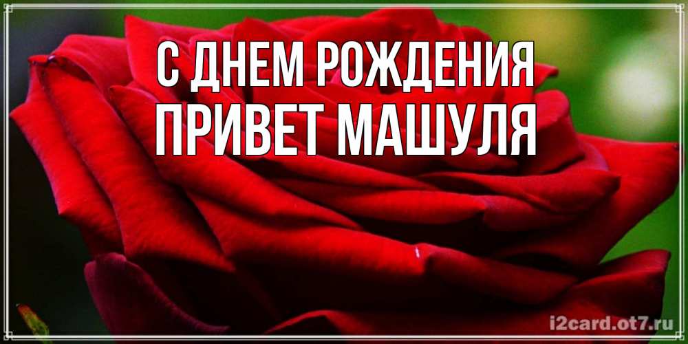Открытка на каждый день с именем, Привет-Машуля С днем рождения розочка очень красивая Прикольная открытка с пожеланием онлайн скачать бесплатно 