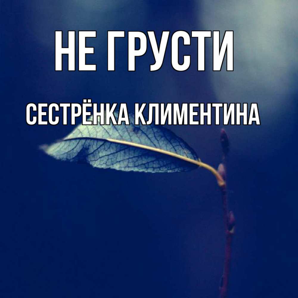 Открытка на каждый день с именем, Сестрёнка-Климентина Не грусти растение Прикольная открытка с пожеланием онлайн скачать бесплатно 
