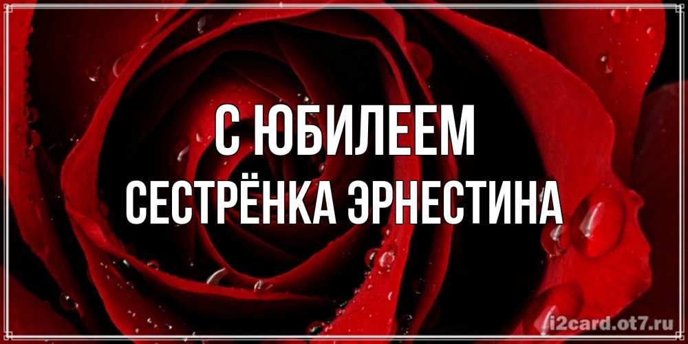 Открытка на каждый день с именем, Сестрёнка-Эрнестина С юбилеем крупная бордовая роза Прикольная открытка с пожеланием онлайн скачать бесплатно 