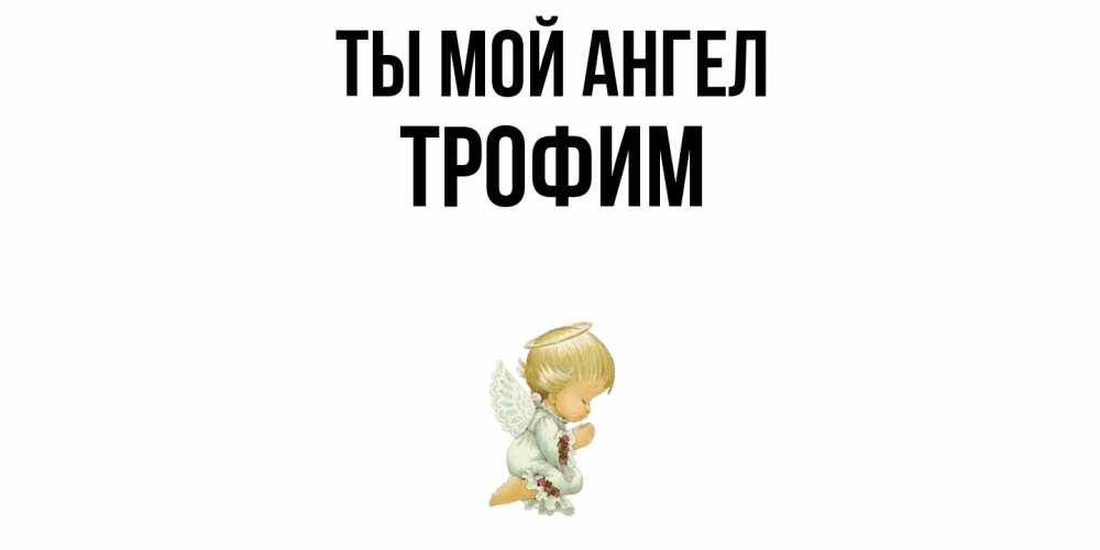 Открытка на каждый день с именем, Трофим Ты мой ангел ангел Прикольная открытка с пожеланием онлайн скачать бесплатно 