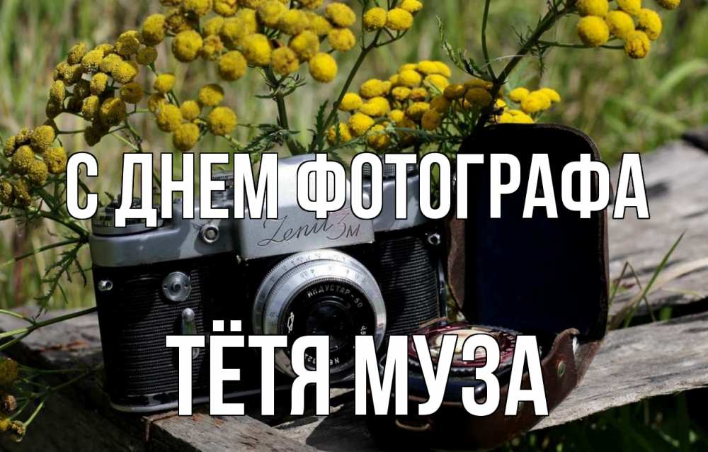 Открытка на каждый день с именем, Тётя-Муза С днем фотографа с днем фотографа Прикольная открытка с пожеланием онлайн скачать бесплатно 