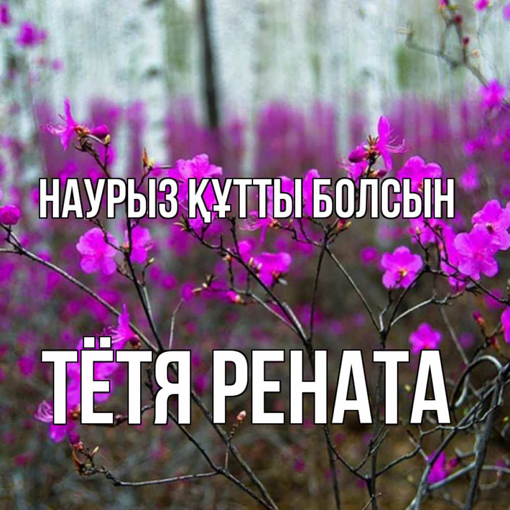 Открытка на каждый день с именем, Тётя-Рената Наурыз құтты болсын дикие цветы Прикольная открытка с пожеланием онлайн скачать бесплатно 