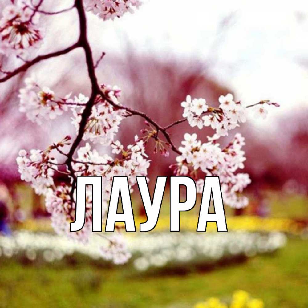 Картинка  с именем , Лаура