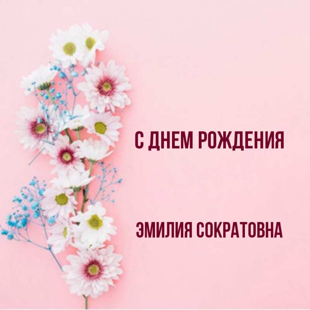 С Днем Рождения Эмилия 16 Лет
