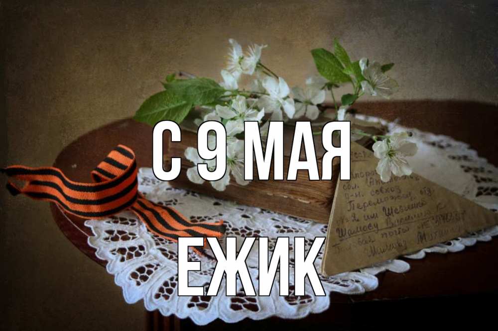 Открытка на каждый день с именем, Ежик С 9 мая 9 мая Прикольная открытка с пожеланием онлайн скачать бесплатно 