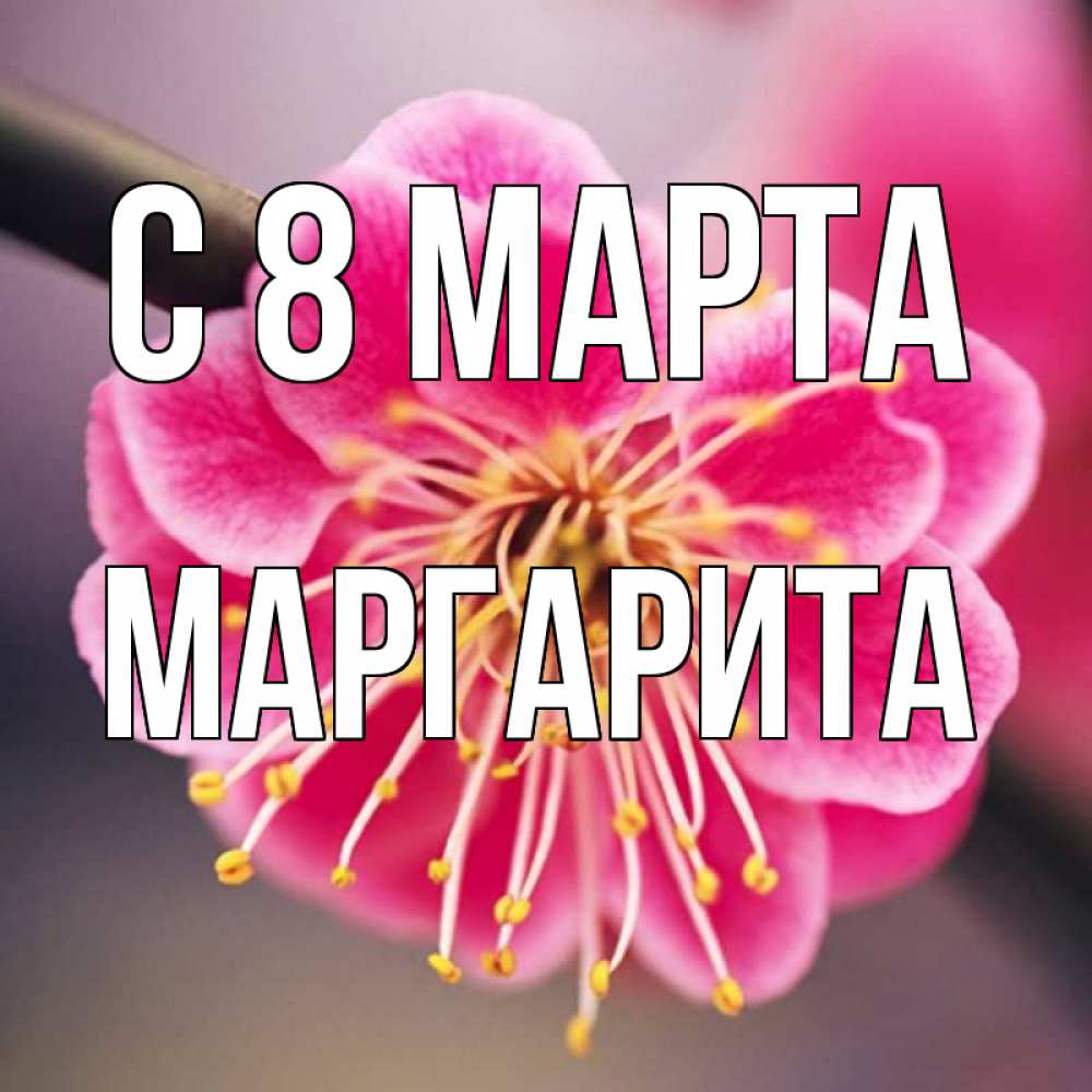 Картинка С 8 МАРТА, Маргарита