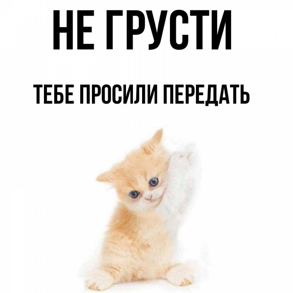 Не грусти картинки прикольные. Открытки о прощении любимому. Стих для мамы с извинениями. Надпись я люблю грусть. Мамочка прости.
