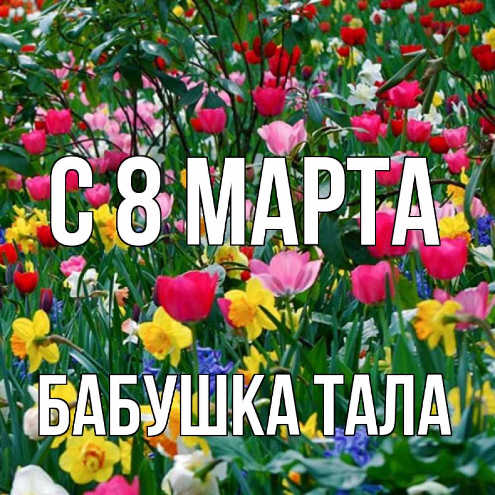 Открытка на каждый день с именем, Бабушка-Тала С 8 МАРТА с международным женским днем поздравления для женщины Прикольная открытка с пожеланием онлайн скачать бесплатно 