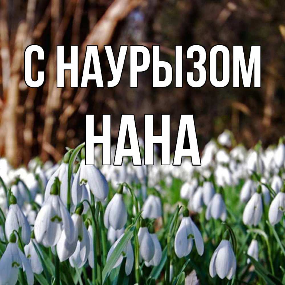 Открытка на каждый день с именем, Нана С наурызом с подснежниками 1 Прикольная открытка с пожеланием онлайн скачать бесплатно 