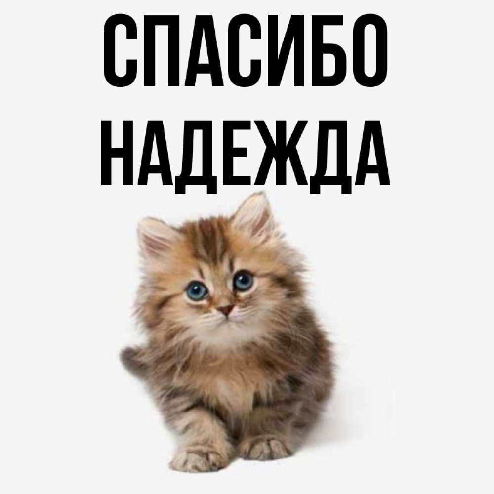 Надеюсь спасибо