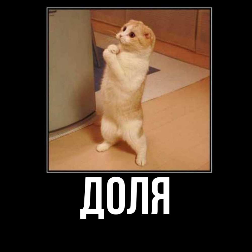 Картинка  с именем , Доля