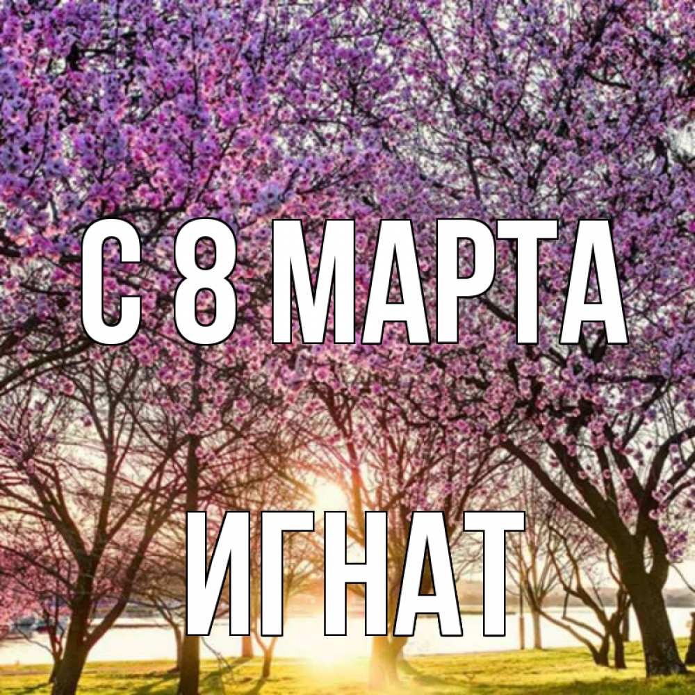 Открытка на каждый день с именем, Игнат С 8 МАРТА международный женский день Прикольная открытка с пожеланием онлайн скачать бесплатно 