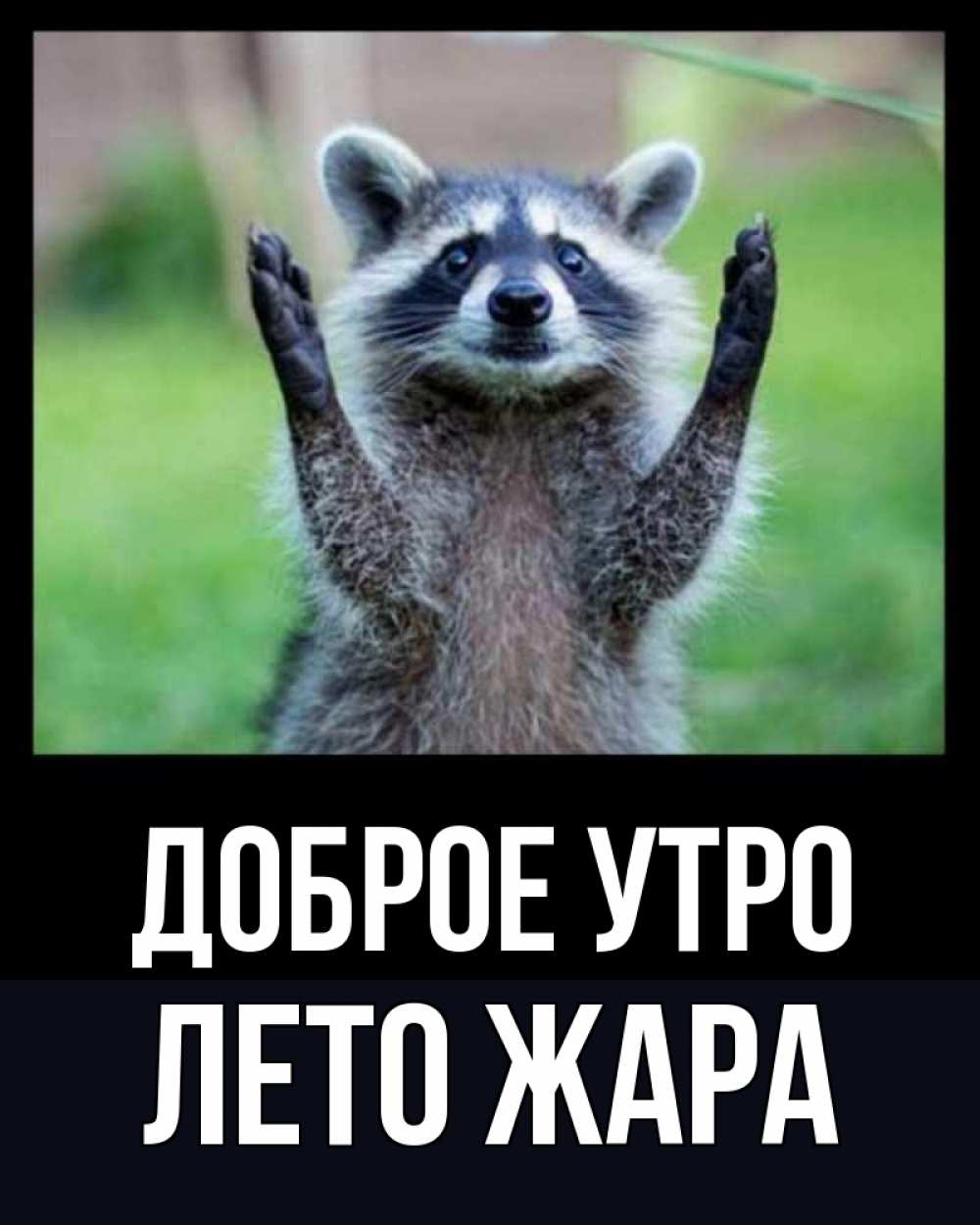 Открытка на каждый день с именем, Лето-жара Доброе утро хорошее настроение утречком Прикольная открытка с пожеланием онлайн скачать бесплатно 