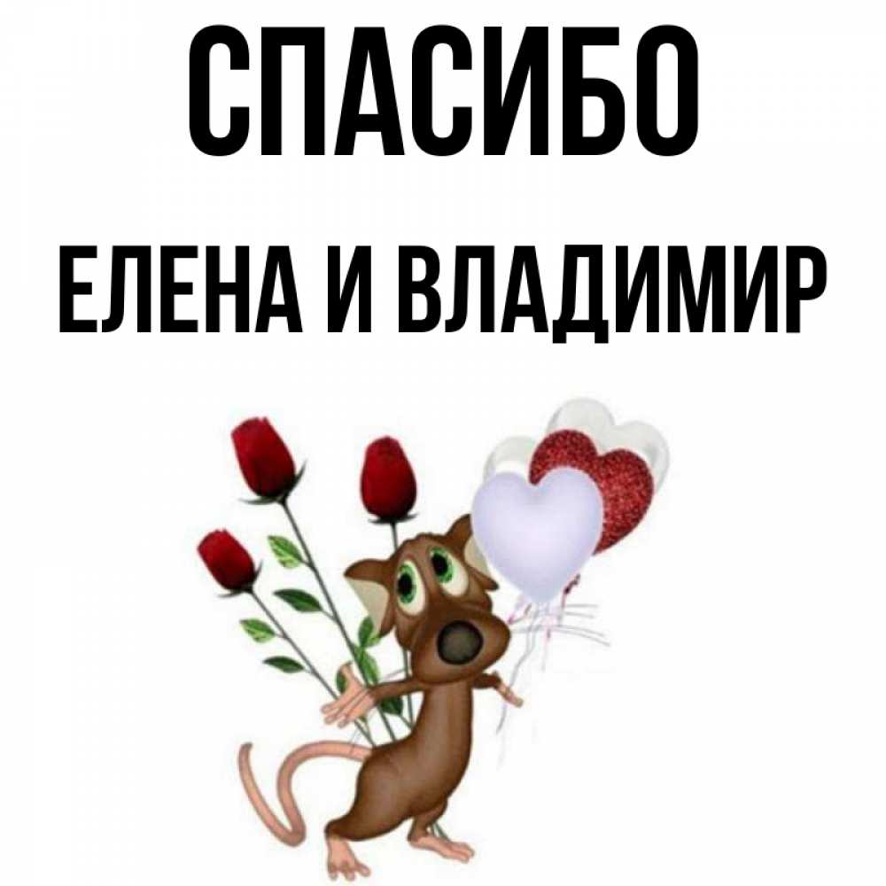 владимир спасибо картинка был безупречным