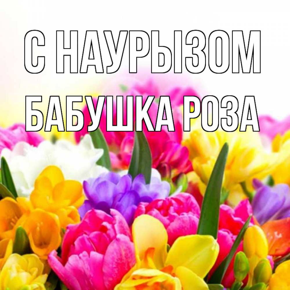 Открытка на каждый день с именем, Бабушка-Роза С наурызом тюльпаны Прикольная открытка с пожеланием онлайн скачать бесплатно 