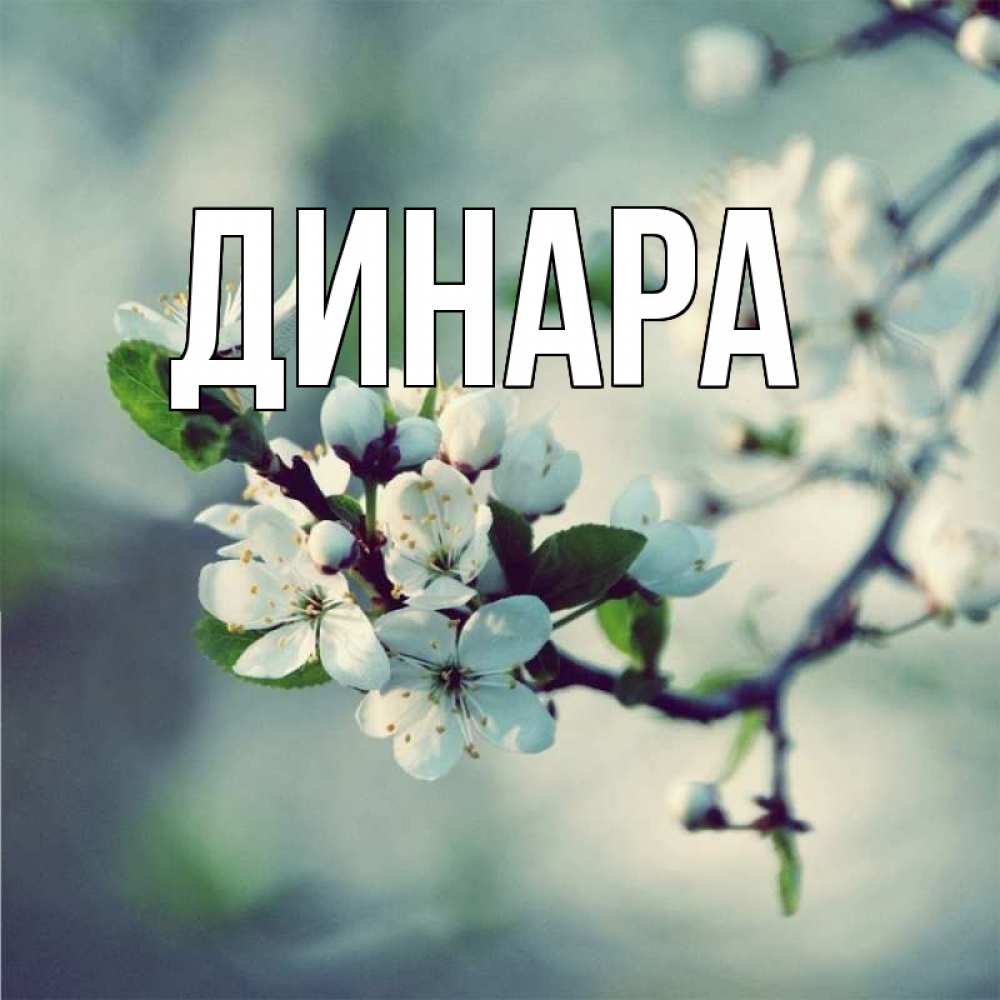 Открытка на каждый день с именем, Динара Главная яблоня в цвету 1 Прикольная открытка с пожеланием онлайн скачать бесплатно 
