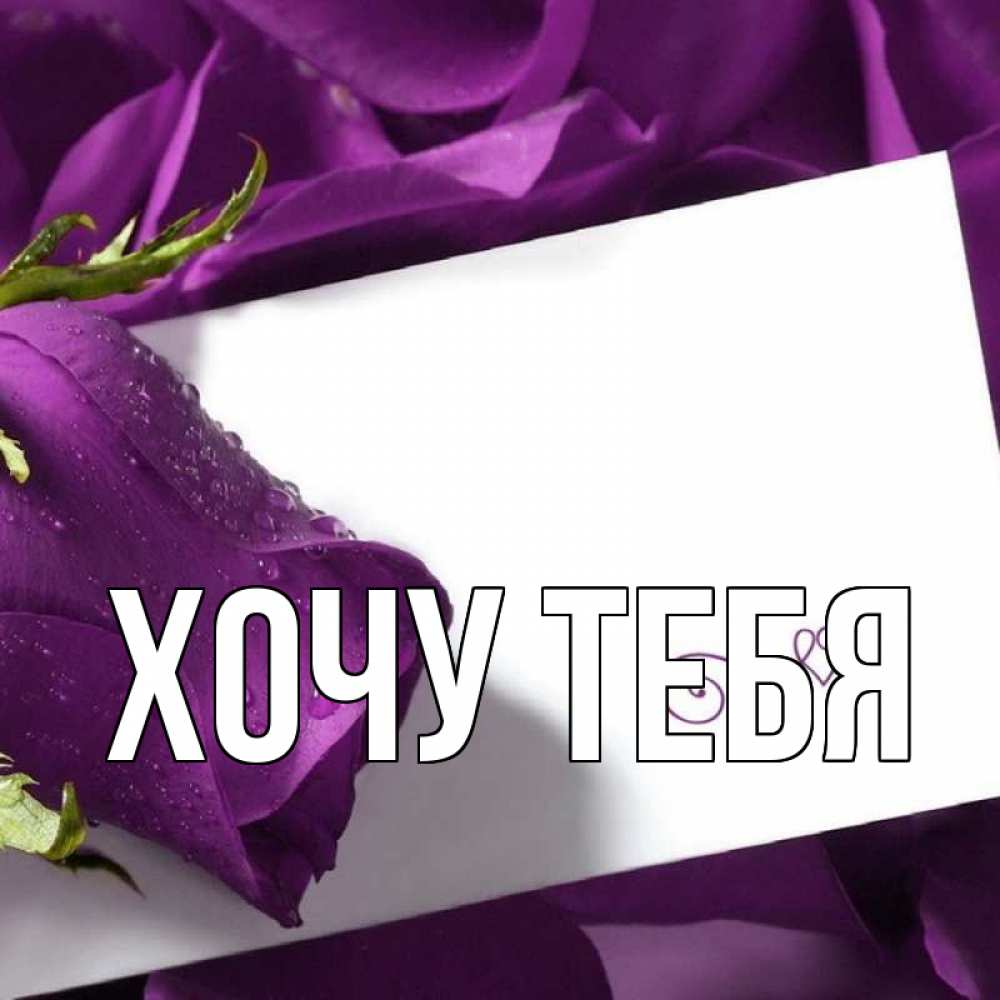 Открытка на каждый день с именем, Хочу-тебя Главная роза Прикольная открытка с пожеланием онлайн скачать бесплатно 