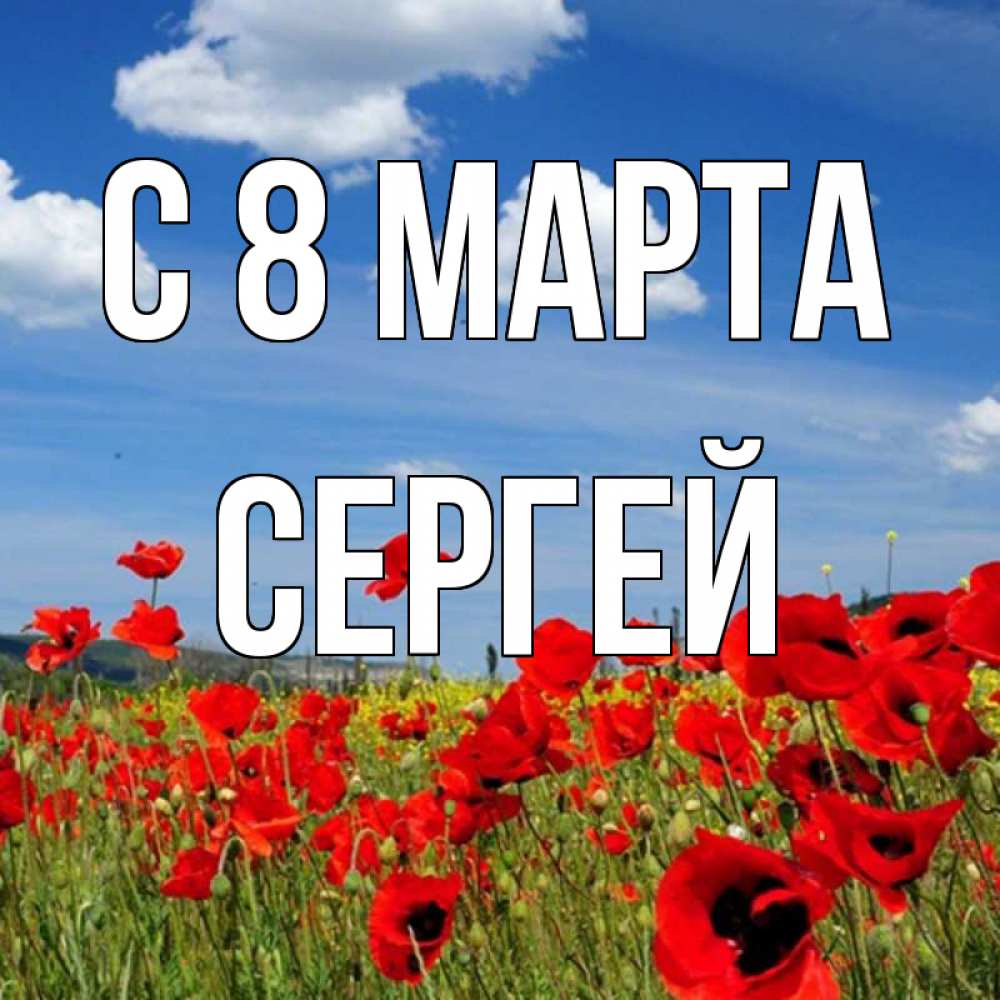 Открытка на каждый день с именем, Сергей С 8 марта международный женский день 1 Прикольная открытка с пожеланием онлайн скачать бесплатно 
