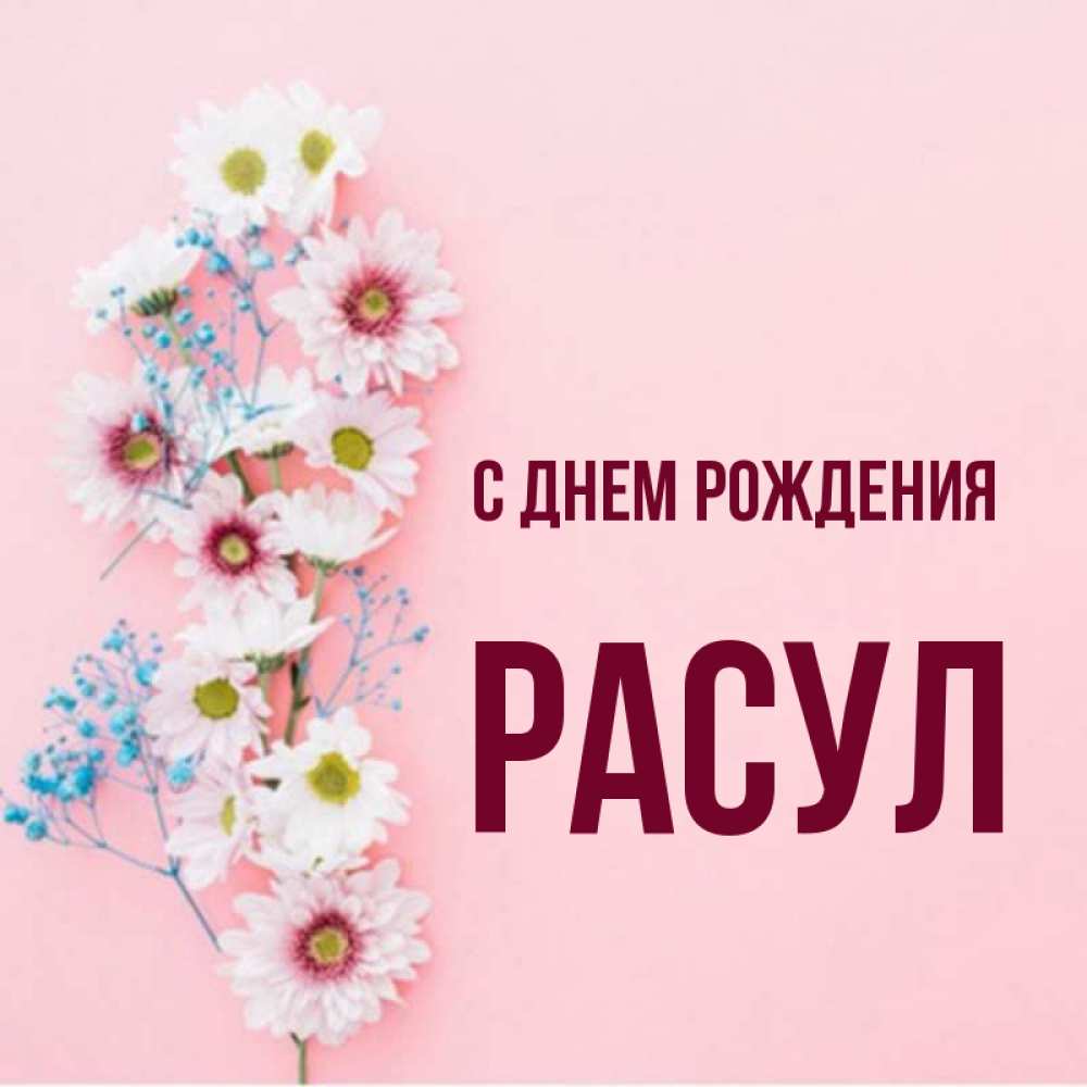 С днем рождения расуль картинки